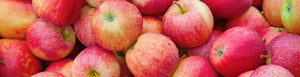 In Season: September