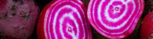 In Season: October