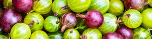 In Season: July