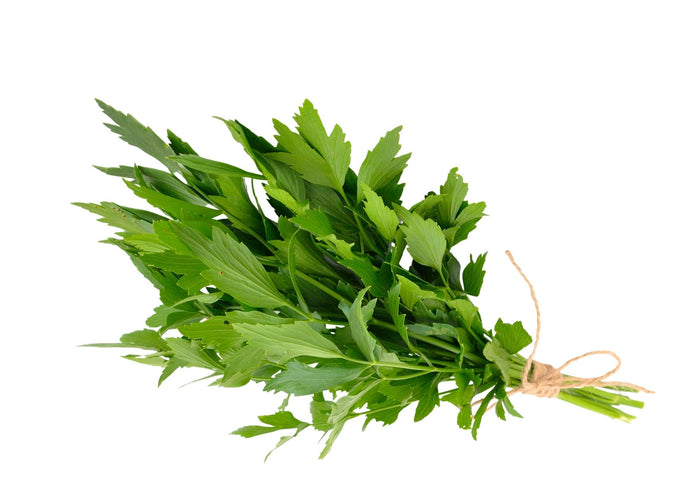 Lovage (100g) (Cut-off 12PM)