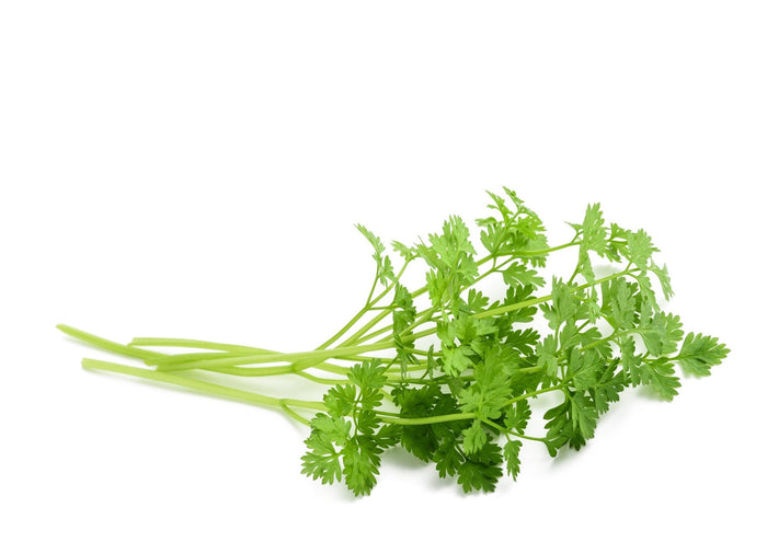 Chervil (100g)