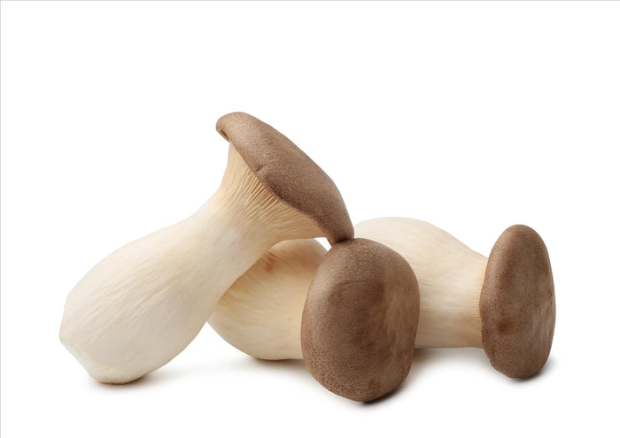 Mushrooms King Oyster (Each)