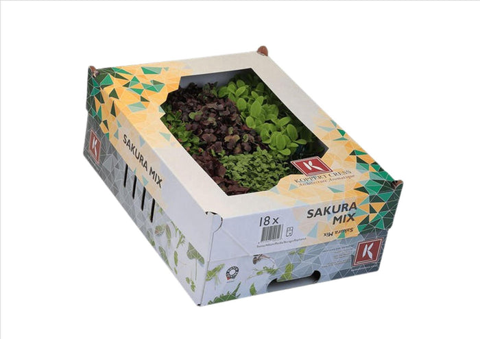 Koppert Cress - Sakura Mix (Box 18)